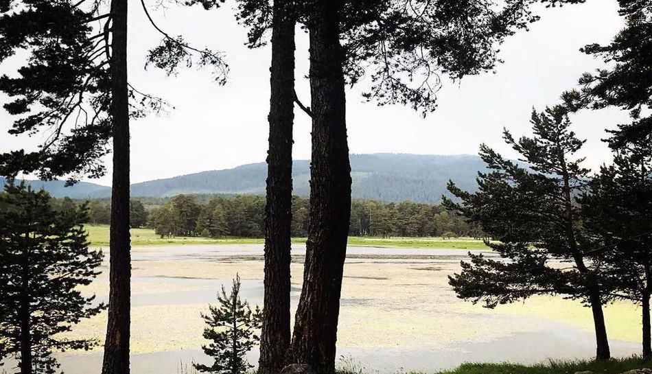 Gökçetepe Natural Park