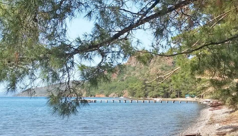 Çubucak Forest Camp Muğla Marmaris