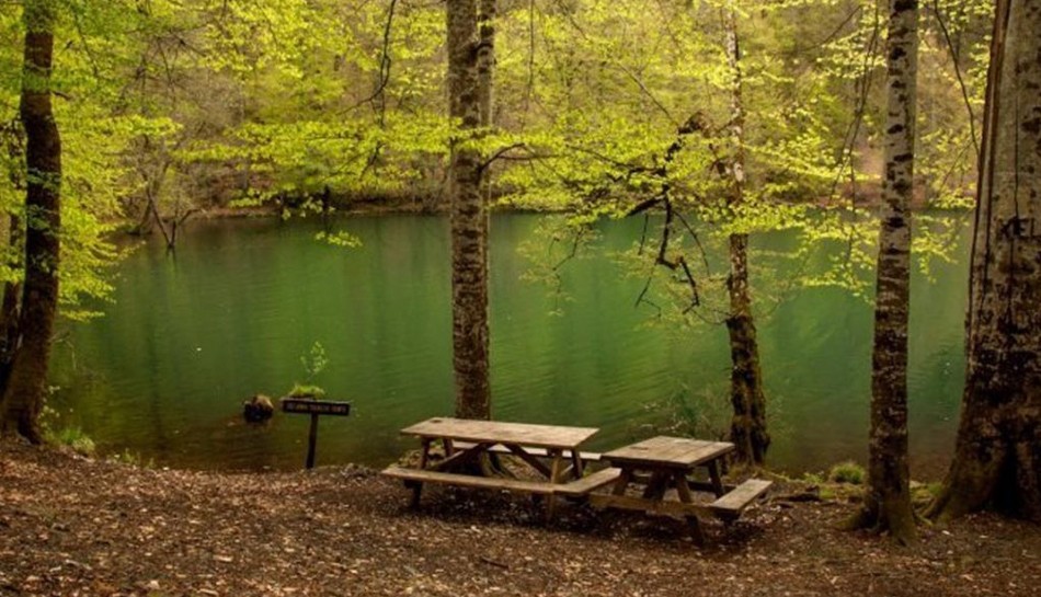 Yedigöller National Park Campsite