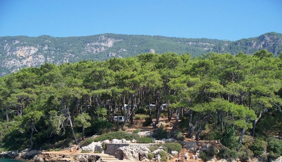 Akyaka Forest Camp